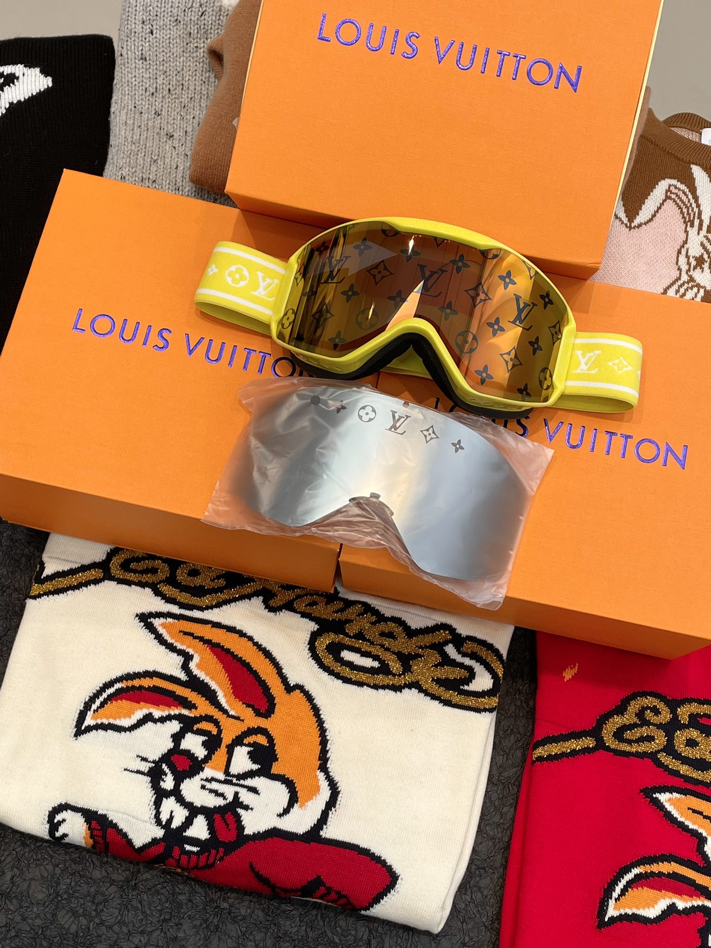 Louis Vuitton Ski Goggles
